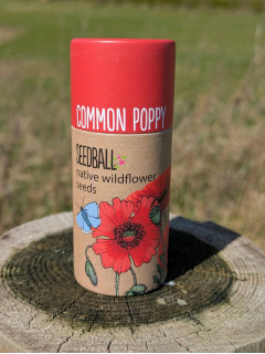 Common Poppy Seedballs (20 balls)